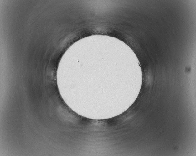 X0000111500619200908251051