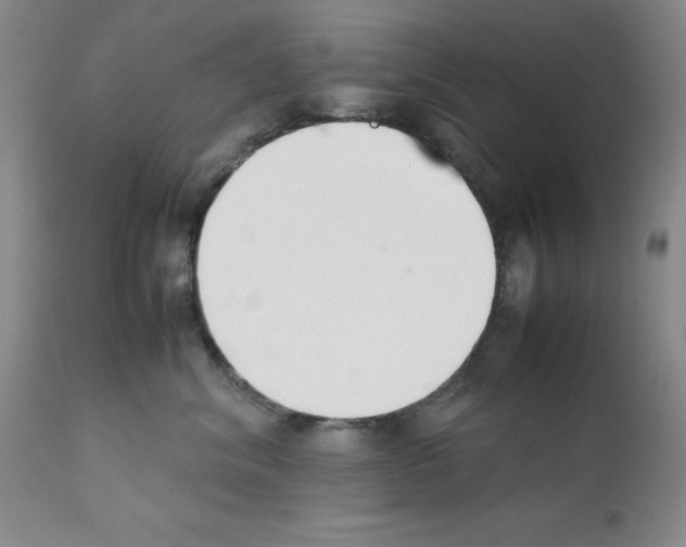 X0000111500620200908251051