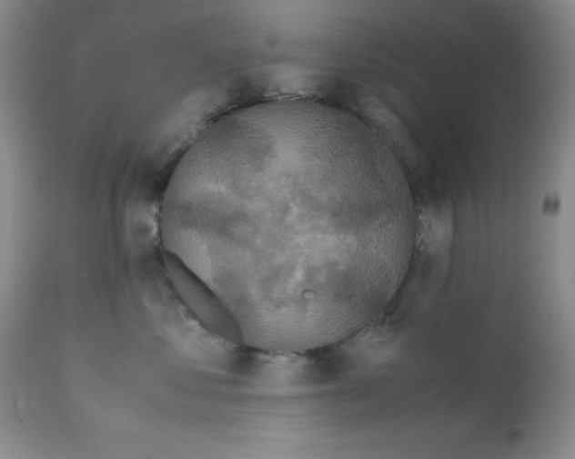 X0000111500621200908251051