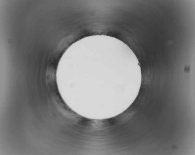 X0000111500623200908251051