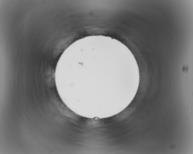 X0000111500624200908251051