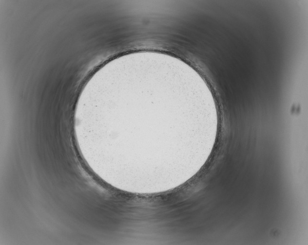 X0000111500625200908251050