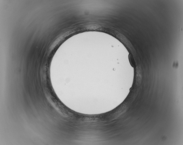 X0000111500626200908251050