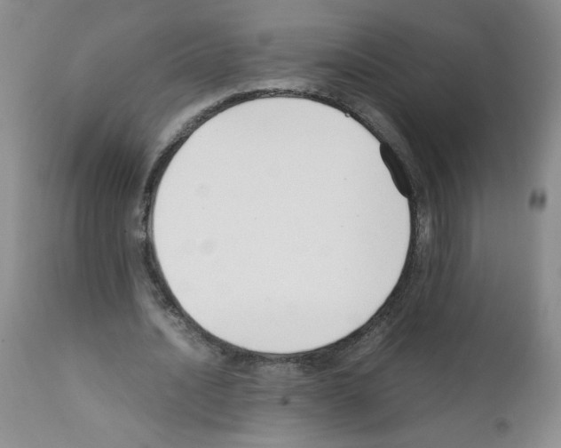 X0000111500628200908251050