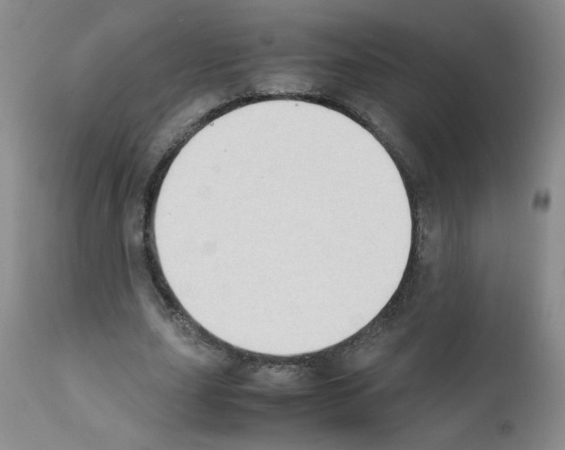 X0000111500631200908251050