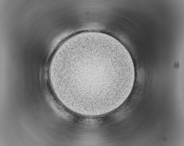 X0000111500632200908251050