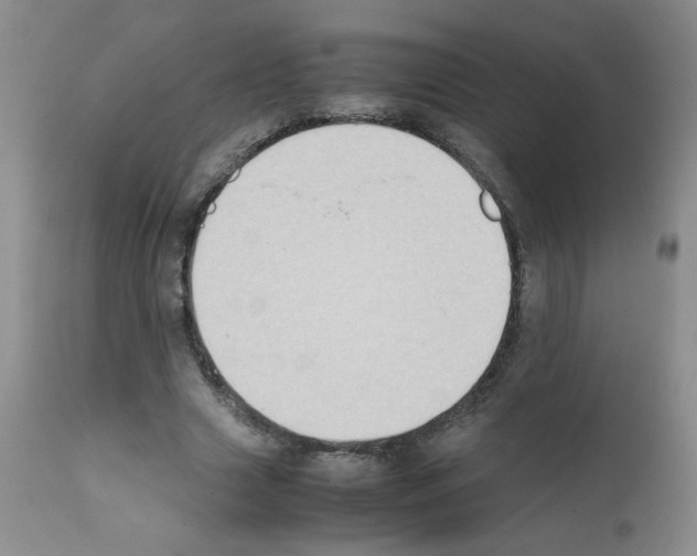 X0000111500633200908251050