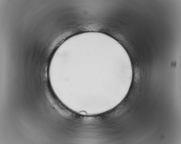 X0000111500634200908251050