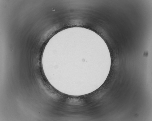 X0000111500635200908251050