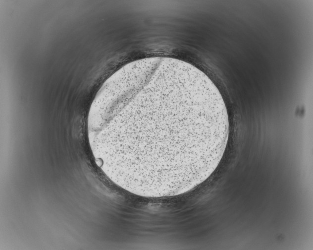 X0000111500641200908251051