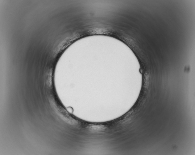 X0000111500642200908251051