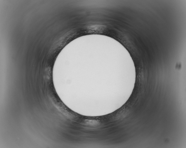 X0000111500649200908251051