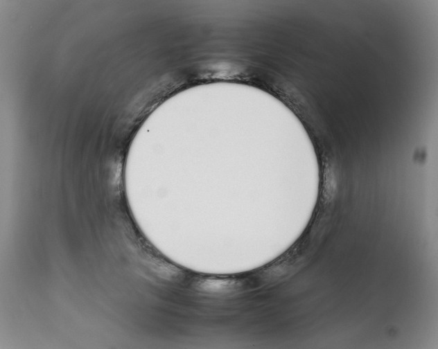 X0000111500657200908251051