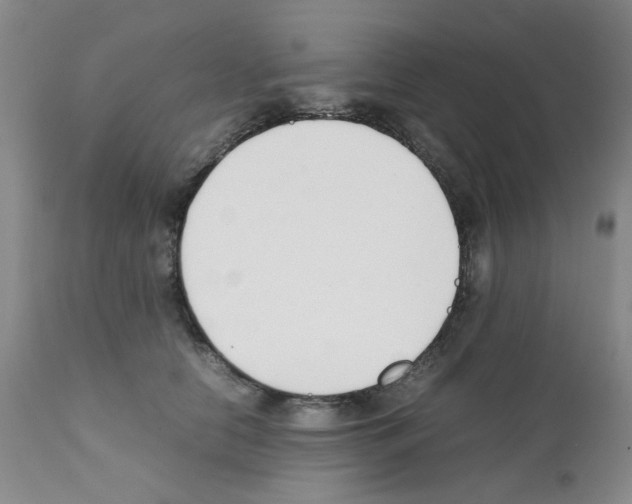 X0000111500658200908251051