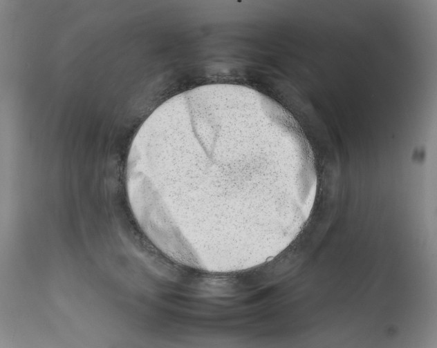 X0000111500659200908251051