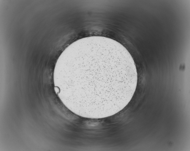 X0000111500661200908251051