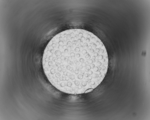 X0000111500662200908251051