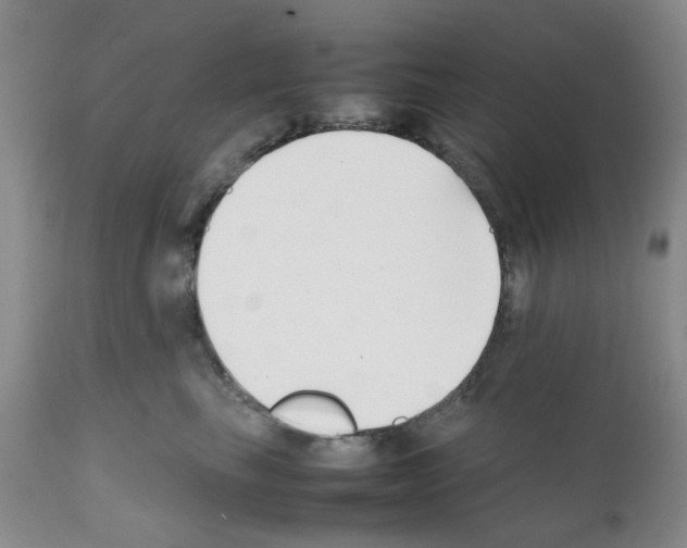 X0000111500665200908251051