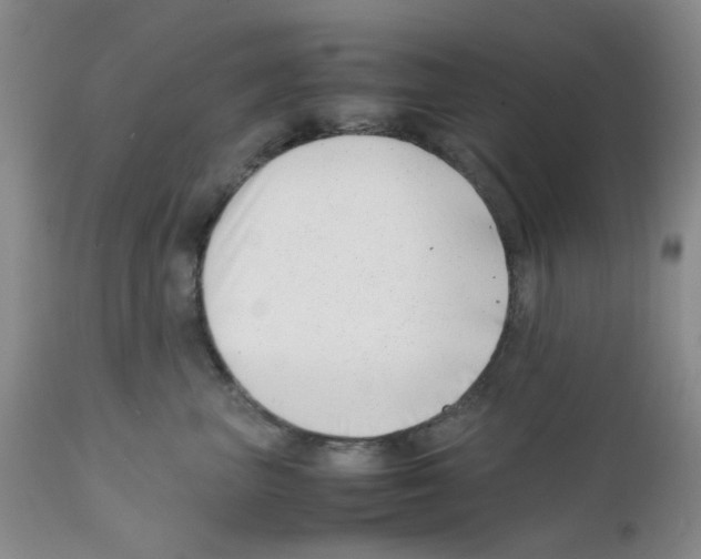 X0000111500667200908251051