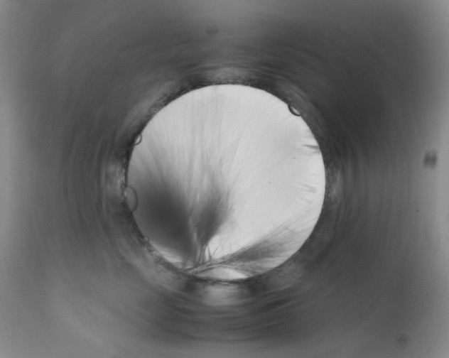 X0000111500669200908251051