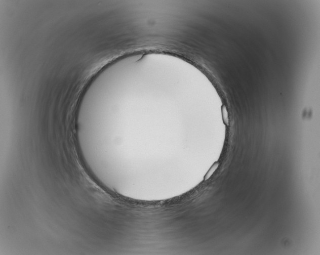 X0000111500673200908251050