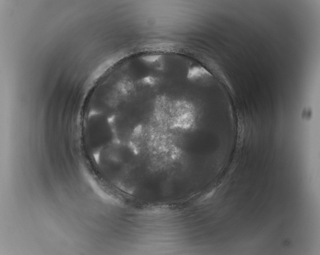 X0000111500674200908251050