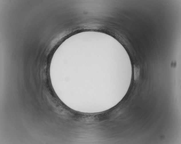 X0000111500675200908251050