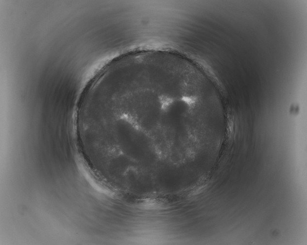 X0000111500678200908251050