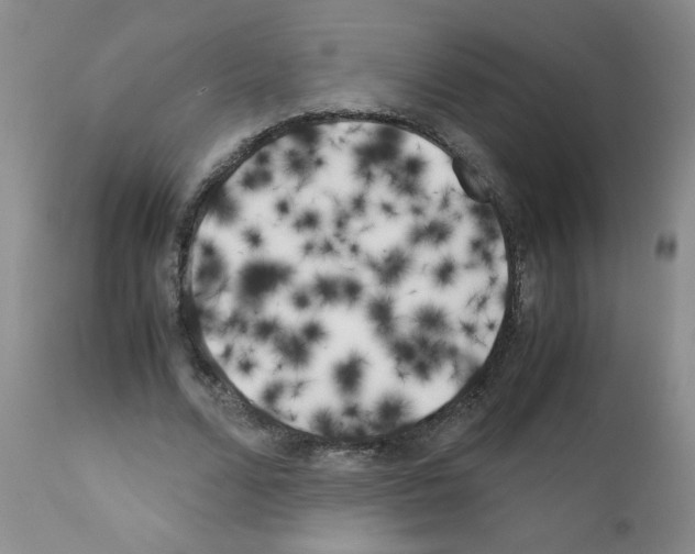 X0000111500680200908251050