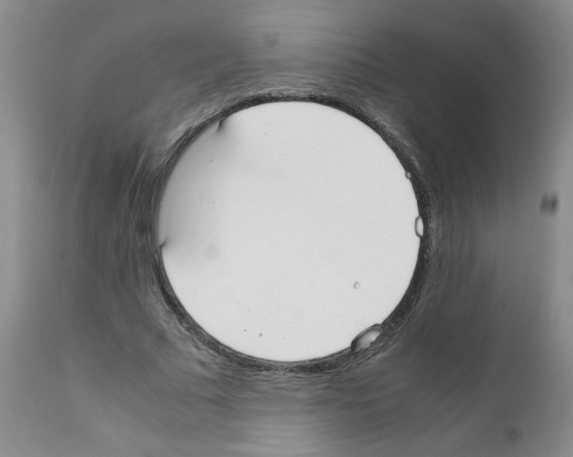 X0000111500681200908251050