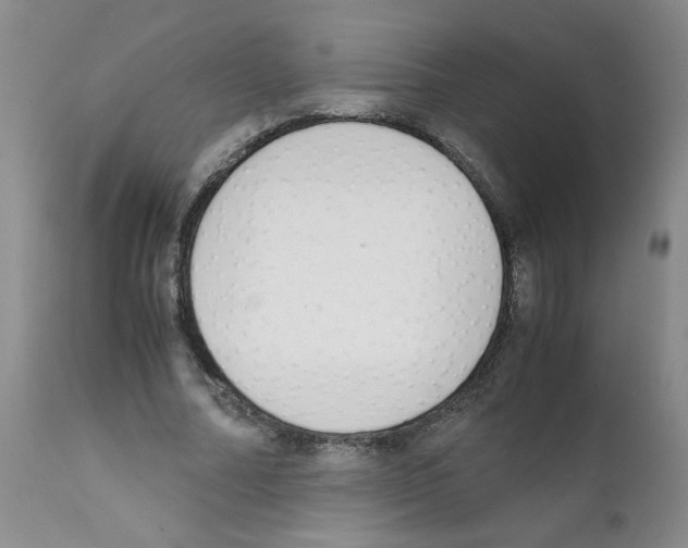 X0000111500682200908251050