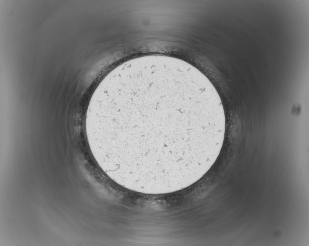 X0000111500683200908251050