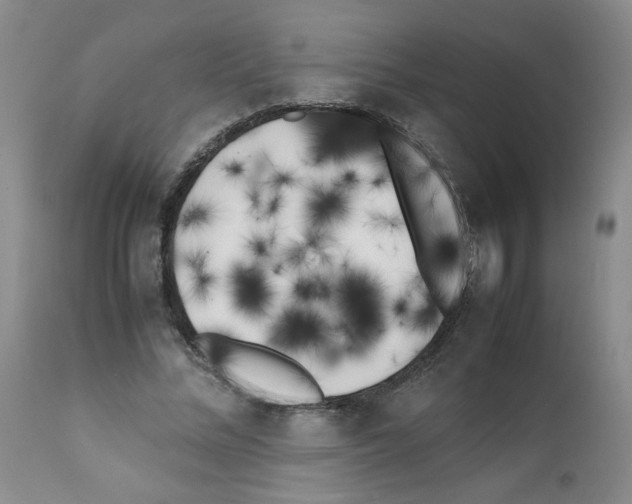 X0000111500684200908251050