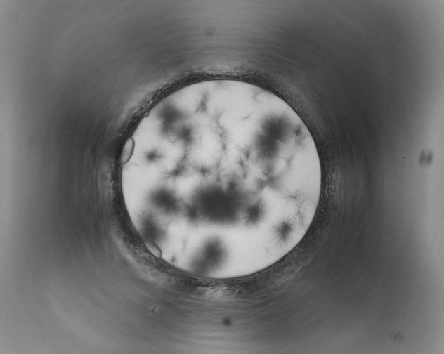 X0000111500688200908251050