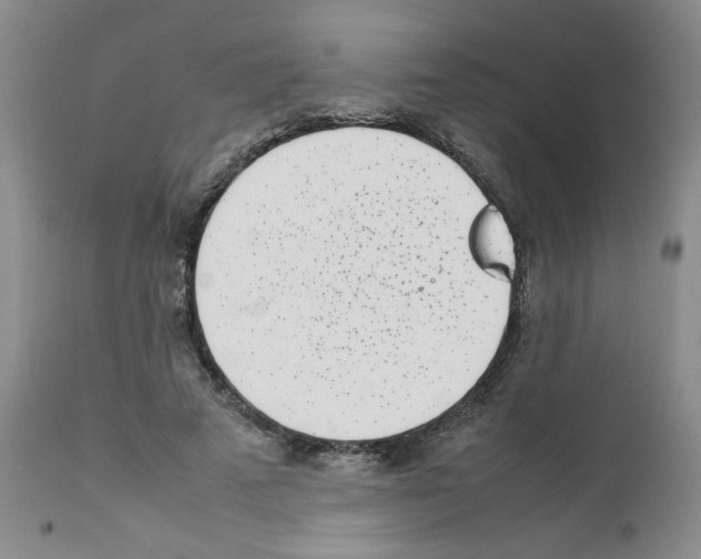 X0000111500689200908251050