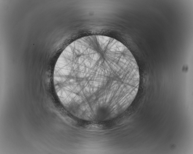 X0000111500691200908251050