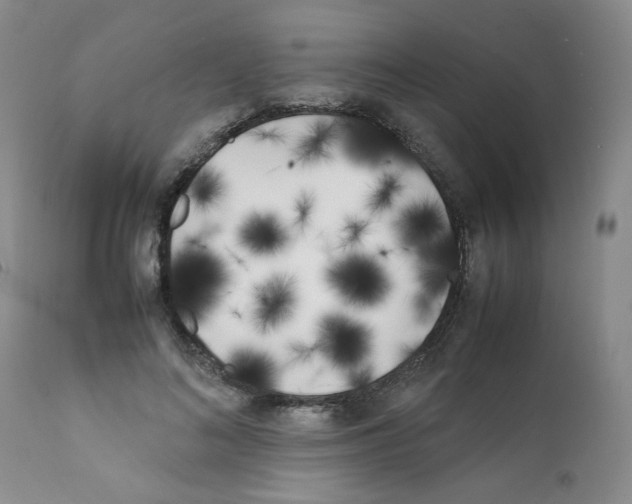 X0000111500692200908251050