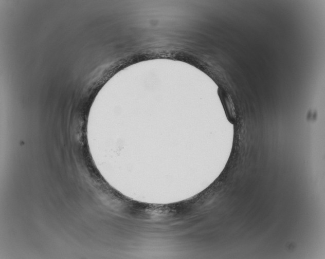 X0000111500693200908251050