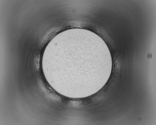 X0000111500694200908251050