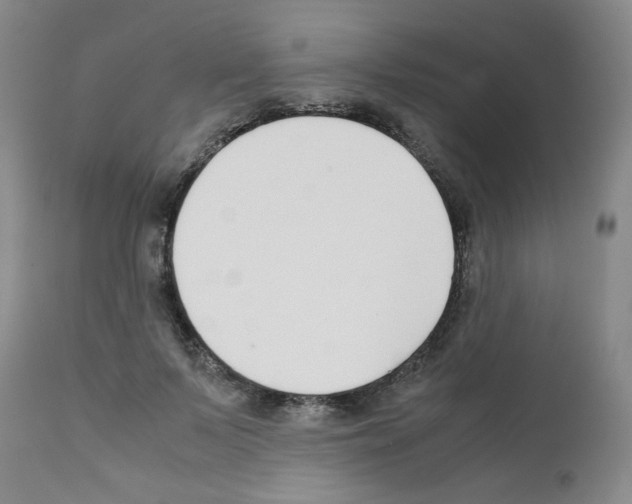 X0000111500695200908251050