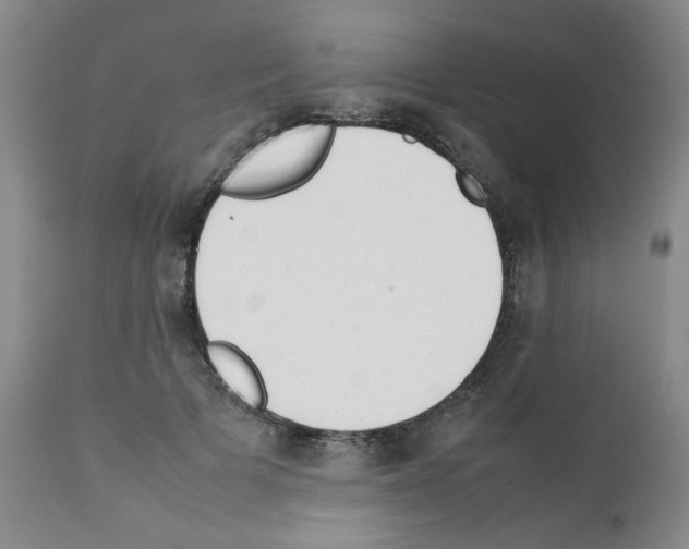 X0000111500697200908251050