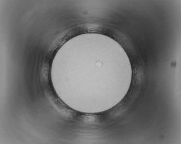 X0000111500698200908251050