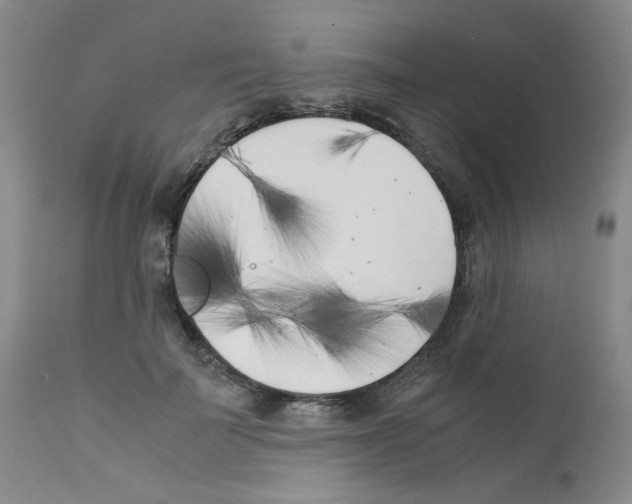 X0000111500699200908251050