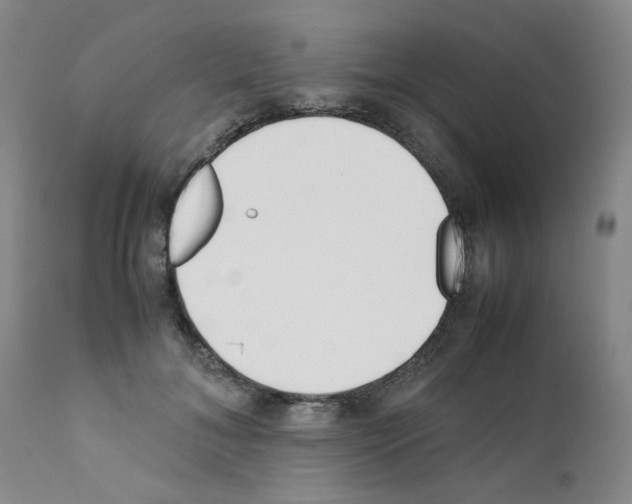 X0000111500700200908251050