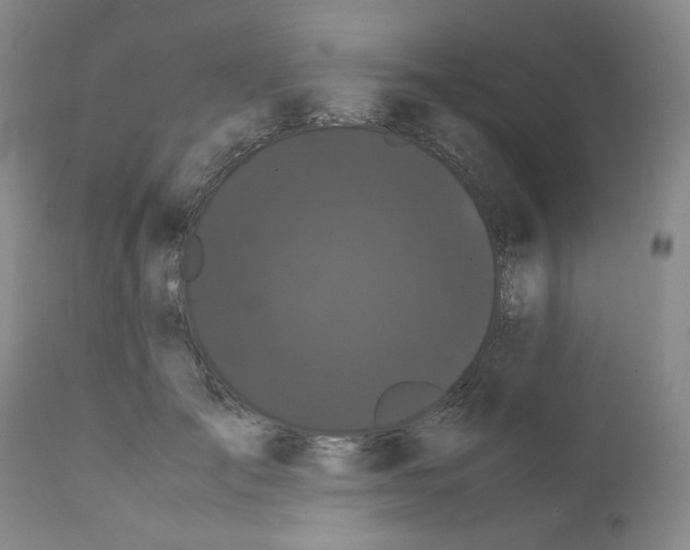 X0000111500701200908251050