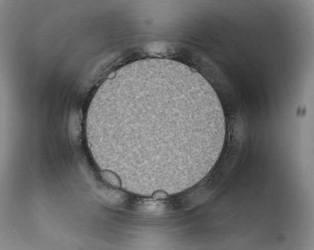 X0000111500702200908251050