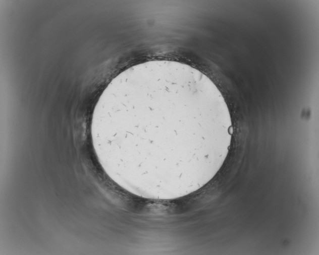 X0000111500703200908251050