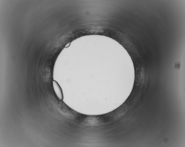 X0000111500704200908251050