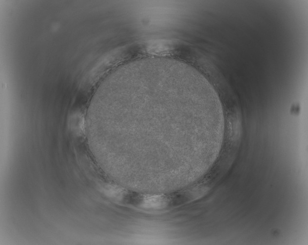 X0000111500705200908251050