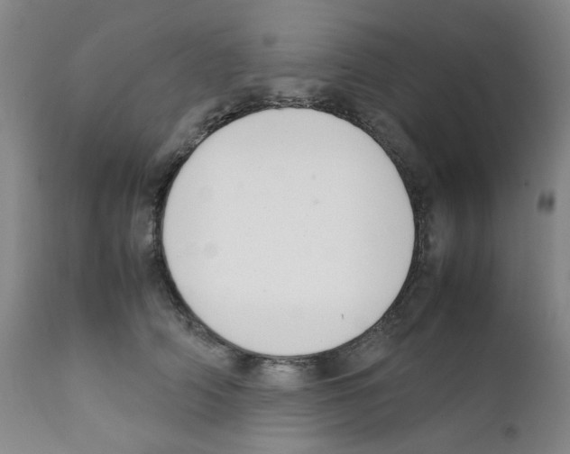 X0000111500706200908251050